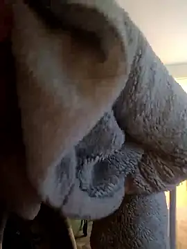 Snapshot of cameron334 chatting on 12, 1, 2026 cameron334 online show from 12, 1, 2026