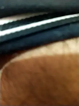 Snapshot of 8inches_DelhiBOY chatting on 17, 11, 2025 8inches DelhiBOY online show from 17, 11, 2025