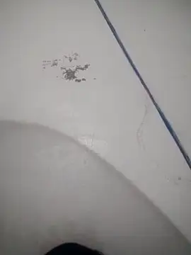 Snapshot of Celestial_Field chatting on 9, 4, 2026 Celestial Field online show from 9, 4, 2026