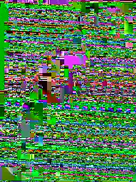 Jaydemasked online show from 9, 2, 2026