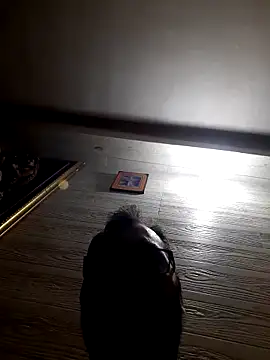 Hot-boy077 online show from 4, 2, 2026