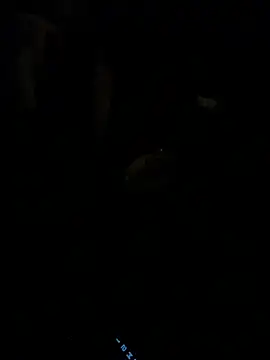 Snapshot of HorneyCowboy154 chatting on 25, 2, 2026 HorneyCowboy154 online show from 25, 2, 2026