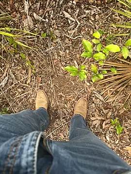 HorneyCowboy154 online show from 19, 4, 2026