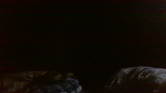 raredick online show from 13, 4, 2026