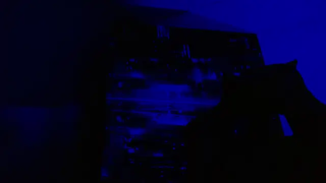 alexgiraldo   online show from 27, 5, 2026