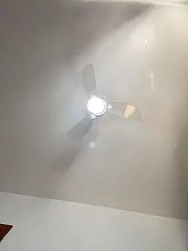 lucioliveira online show from 31, 3, 2026