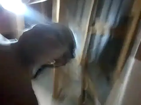 Snapshot of BigAssjuicy26 chatting on 27, 10, 2025 BigAssjuicy26 online show from 27, 10, 2025