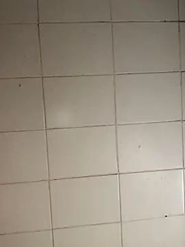 Novinhodotadomg online show from 5, 11, 2025