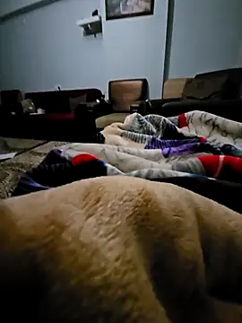 Snapshot of fena-sikerimmm chatting on 21, 2, 2026 fena-sikerimmm online show from 21, 2, 2026