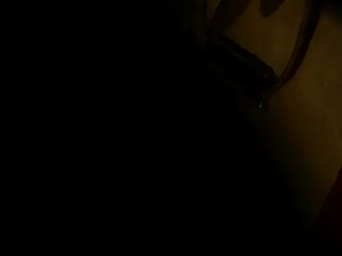 Snapshot of PIGBABY-LOVE chatting on 11, 10, 2025 PIGBABY-LOVE online show from 11, 10, 2025