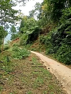 Snapshot of Dung-Thao19 chatting on 24, 11, 2025 Dung-Thao19 online show from 24, 11, 2025