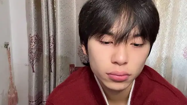 w5206t online show from 15, 11, 2025