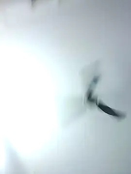 Kehar punjaban online show from 28, 9, 2025