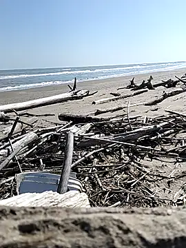 pegaso369 online show from 28, 3, 2026