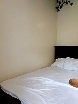 Nedambale online show from 11, 3, 2026