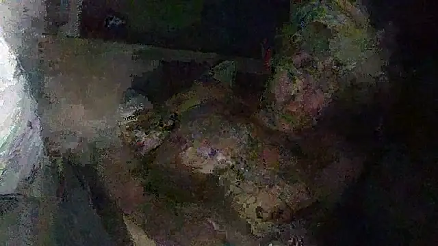 IsAparty online show from 11, 10, 2025