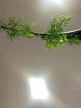 CharlotteBrownn  online show from 23, 2, 2026