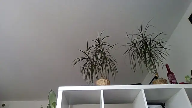 Snapshot of bigcockjohnxxxxx chatting on 13, 11, 2025 bigcockjohnxxxxx online show from 13, 11, 2025