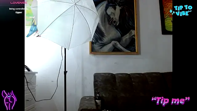 Snapshot of Wild_RoomXxX chatting on 3, 11, 2025 Wild RoomXxX online show from 3, 11, 2025