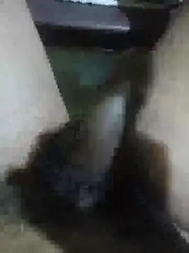 Vizgeboys online show from 28, 2, 2026