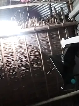 HoT BoY  Salim Khan BD online show from 26, 4, 2026