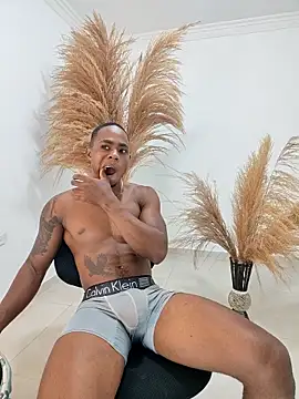 Snapshot of liambolt chatting on 20, 2, 2026 liambolt online show from 20, 2, 2026