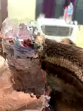 Snapshot of its_Surya_BBC chatting on 27, 11, 2025 its Surya BBC online show from 27, 11, 2025