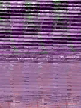 Snapshot of its_Surya_BBC chatting on 4, 12, 2025 its Surya BBC online show from 4, 12, 2025