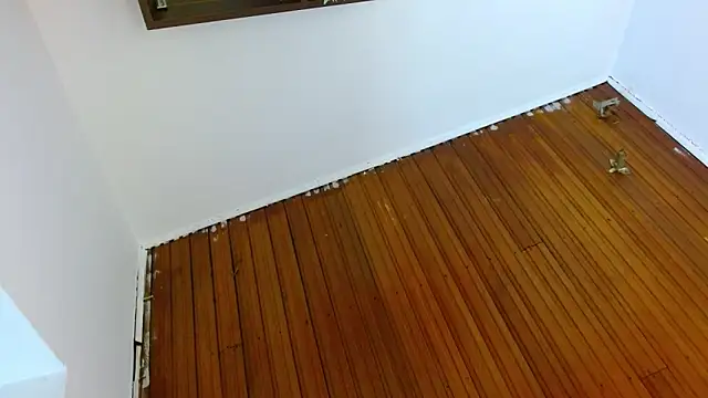 shelbygp online show from 5, 3, 2026