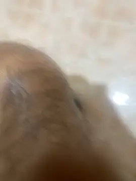 Binuthomas online show from 24, 11, 2025