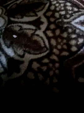 Snapshot of Lawrence067 chatting on 11, 2, 2026 Lawrence067 online show from 11, 2, 2026