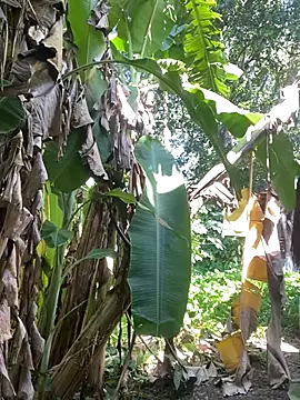 anastasia cums online show from 17, 10, 2025