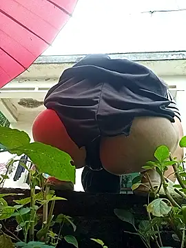 July-Asian online show from 31, 5, 2026