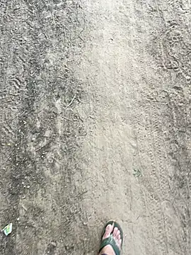 Desiandaj online show from 26, 11, 2025