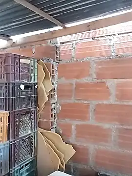 hoteder online show from 12, 1, 2026