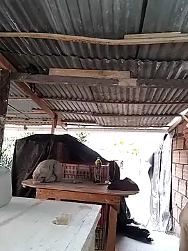 hoteder online show from 15, 4, 2026