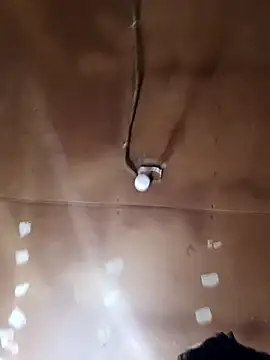 lucho2328 online show from 29, 10, 2025