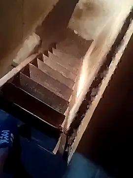 lucho2328 online show from 8, 11, 2025