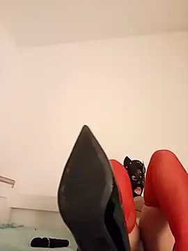 KittenCarnivore online show from 22, 11, 2025