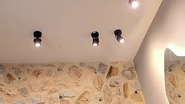 VenusBlazer online show from 28, 2, 2026