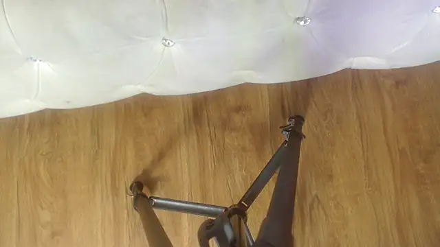 RylieRoss online show from 27, 11, 2025