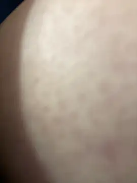 Cherry   Blossom online show from 3, 11, 2025