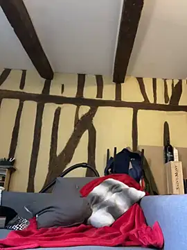 Toto-pika online show from 26, 3, 2026