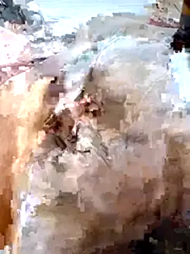 youssefwajda166 online show from 26, 3, 2026