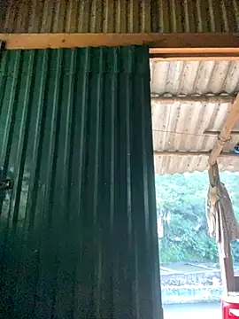 PhanHaa online show from 2, 10, 2025