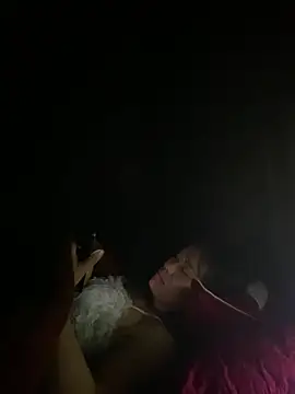 PhanHaa online show from 4, 3, 2026