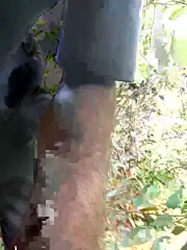 Snapshot of kavi1q1 chatting on 17, 1, 2026 kavi1q1 online show from 17, 1, 2026