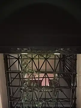 Juann-cock online show from 2, 6, 2026
