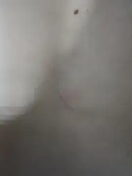 cogiaodam online show from 25, 11, 2025