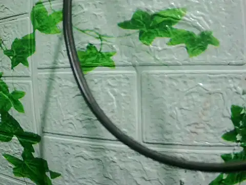 daros453 online show from 3, 11, 2025